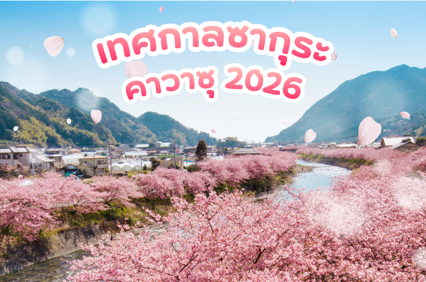 เทศกาลซากุระคาวาซุ 2026 พร้อมจุดชมซากุระและสถานที่แนะนำ
