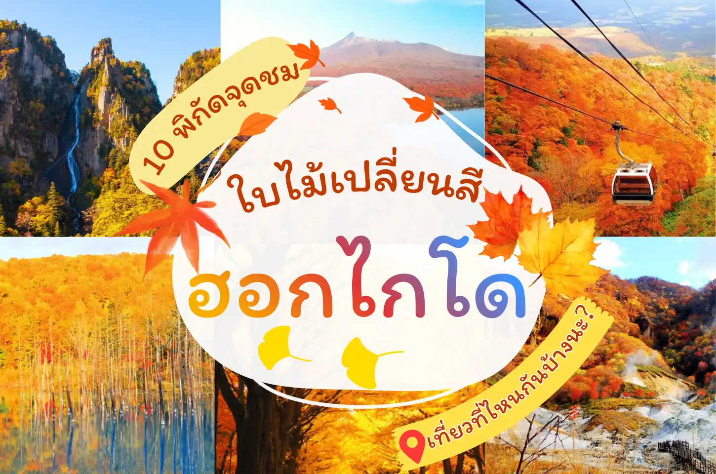 ใบไม้เปลี่ยนสีที่ฮอกไกโดเที่ยวไหนกันบ้างคะ?