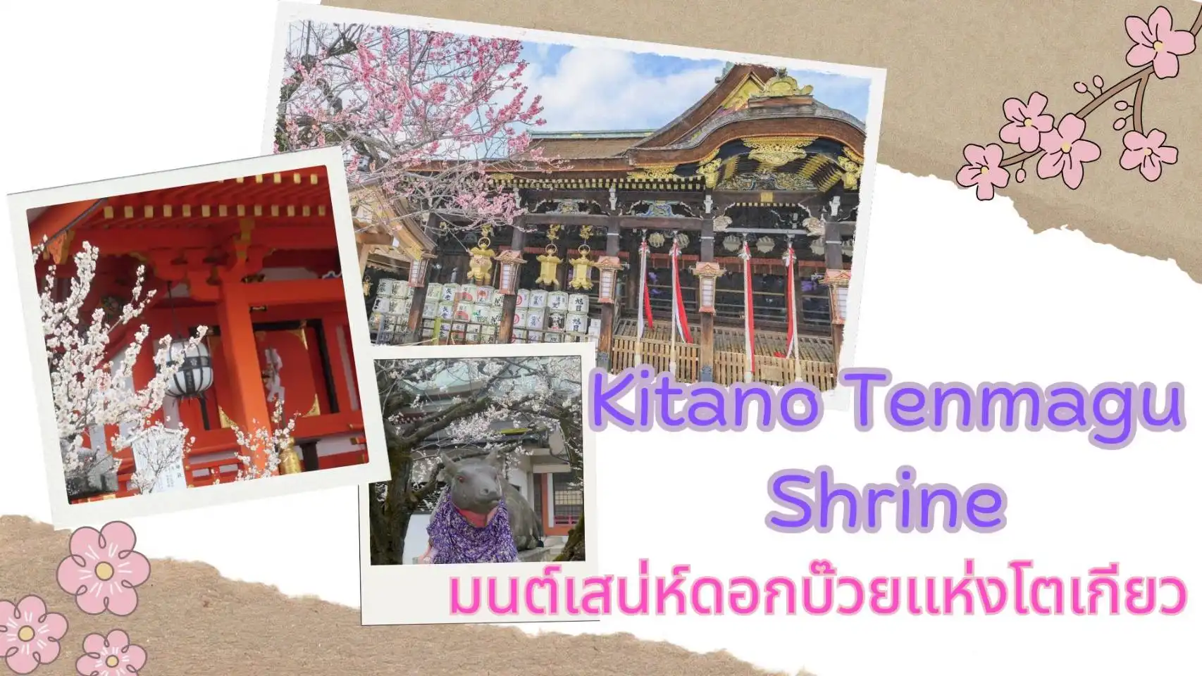 มนต์เสน่ห์ดอกบ๊วยแห่งเกียวโต ณ ศาลเจ้าคิตา โนะ เท็นมังกู