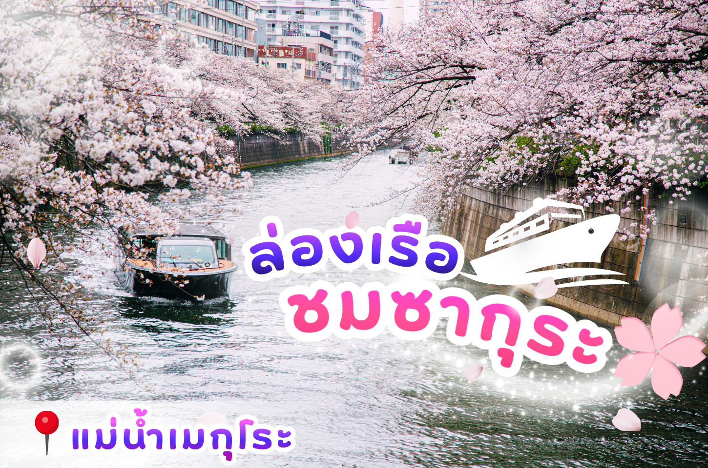 ล่องเรือชมซากุระที่แม่น้ำเมกุโระ (Meguro River Cherry Blossom Cruise)