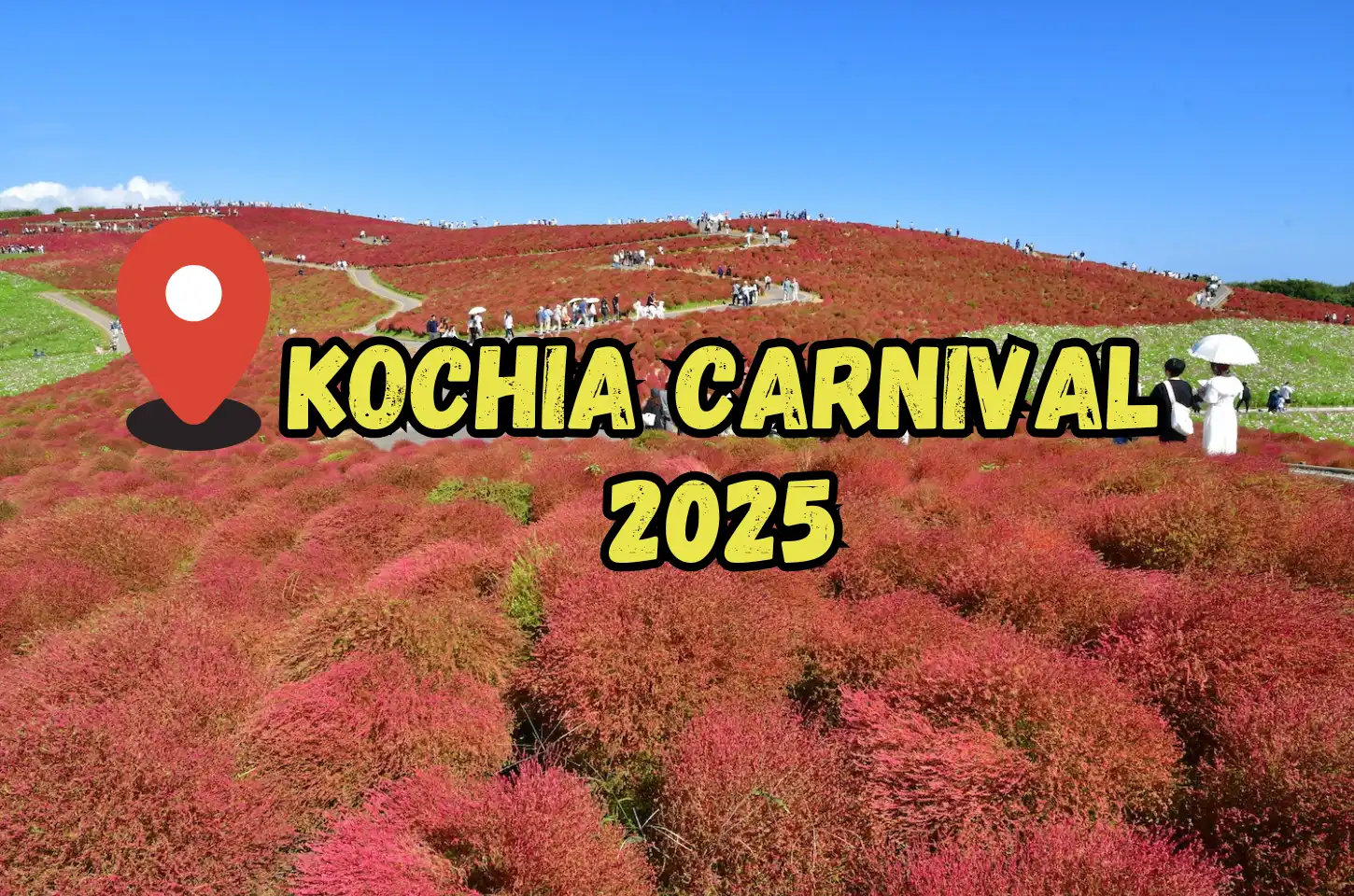 เทศกาล โคเชียคาร์นิวัล 2025  (Kochia Carnival 2025)