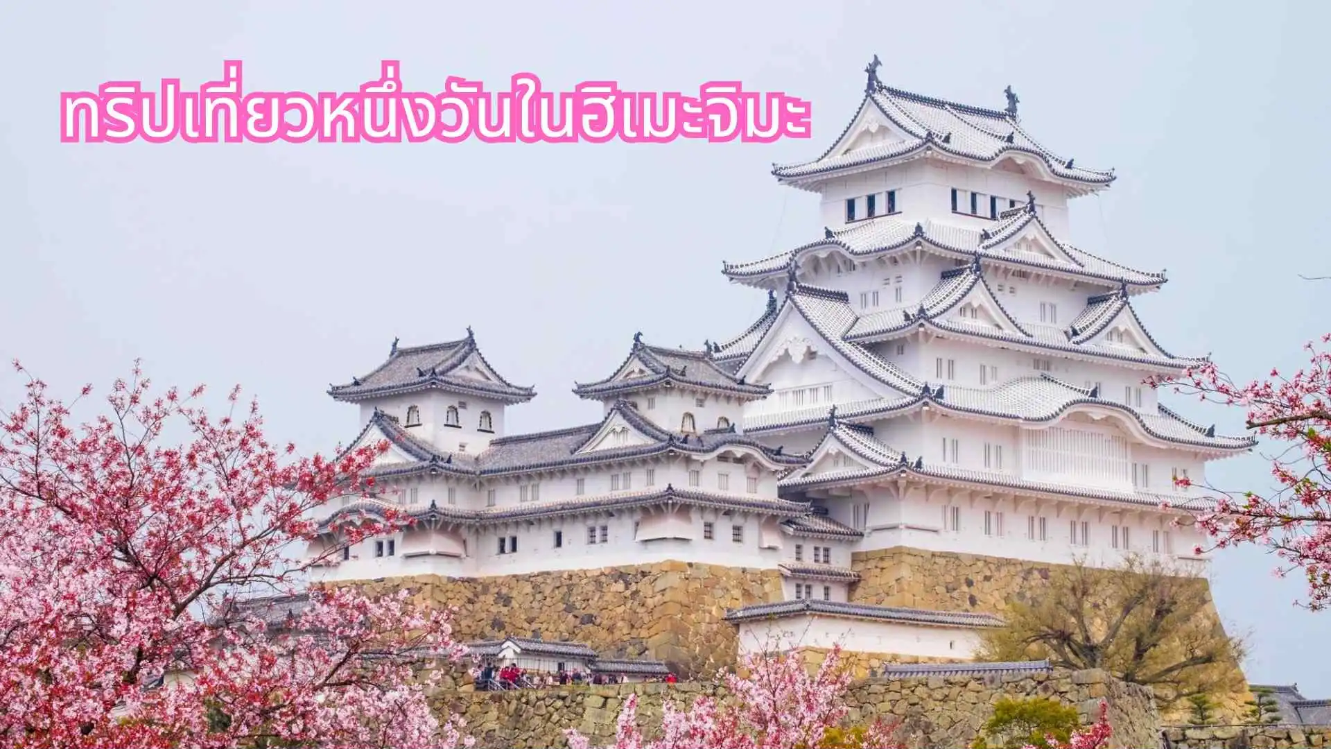 ทริปเที่ยวหนึ่งวันในฮิเมะจิมะ